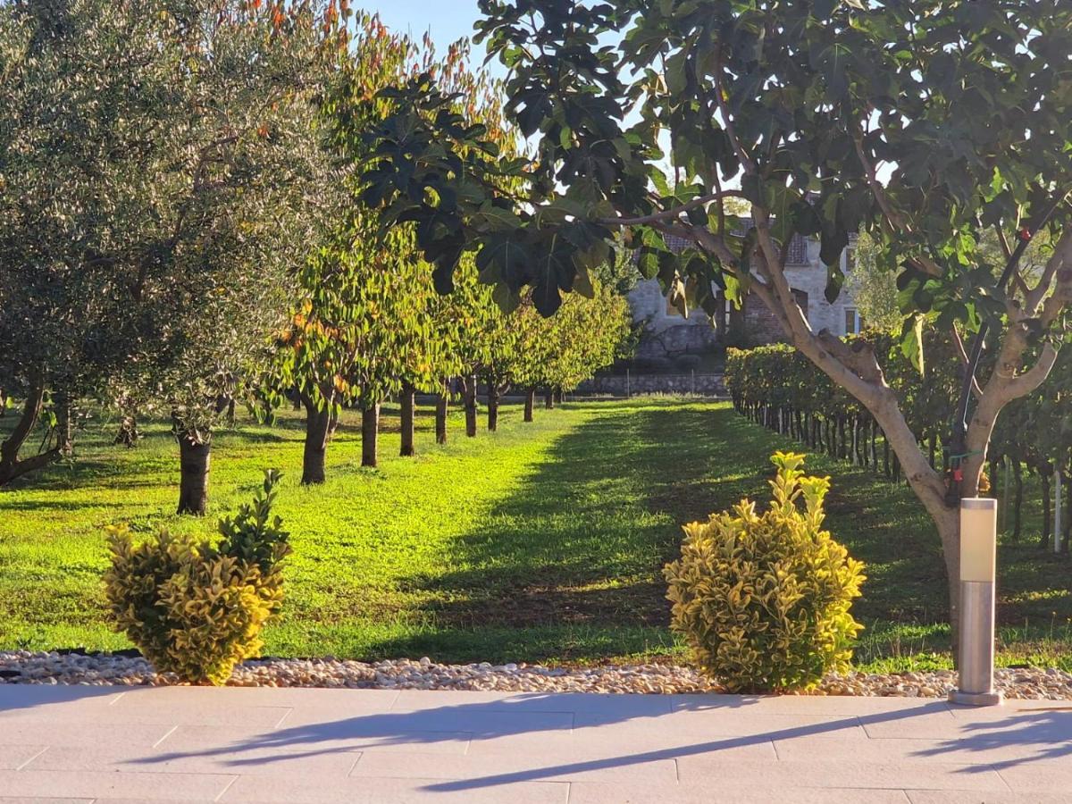 Villa Lorema-Pet Friendly On 5000 Sqm Garden,Pool, Jacuzzi, Billiard&Ps5 Sveti Filip i Jakov Exterior foto