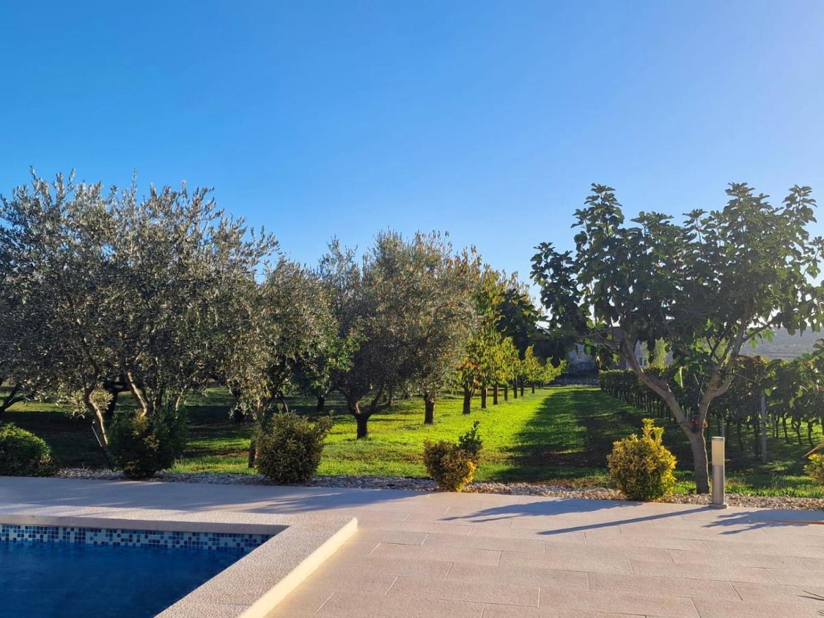 Villa Lorema-Pet Friendly On 5000 Sqm Garden,Pool, Jacuzzi, Billiard&Ps5 Sveti Filip i Jakov Exterior foto